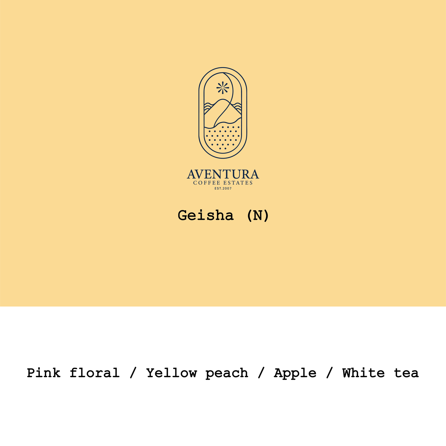 Panama Aventura Coffee Estates Geisha LotD Natural