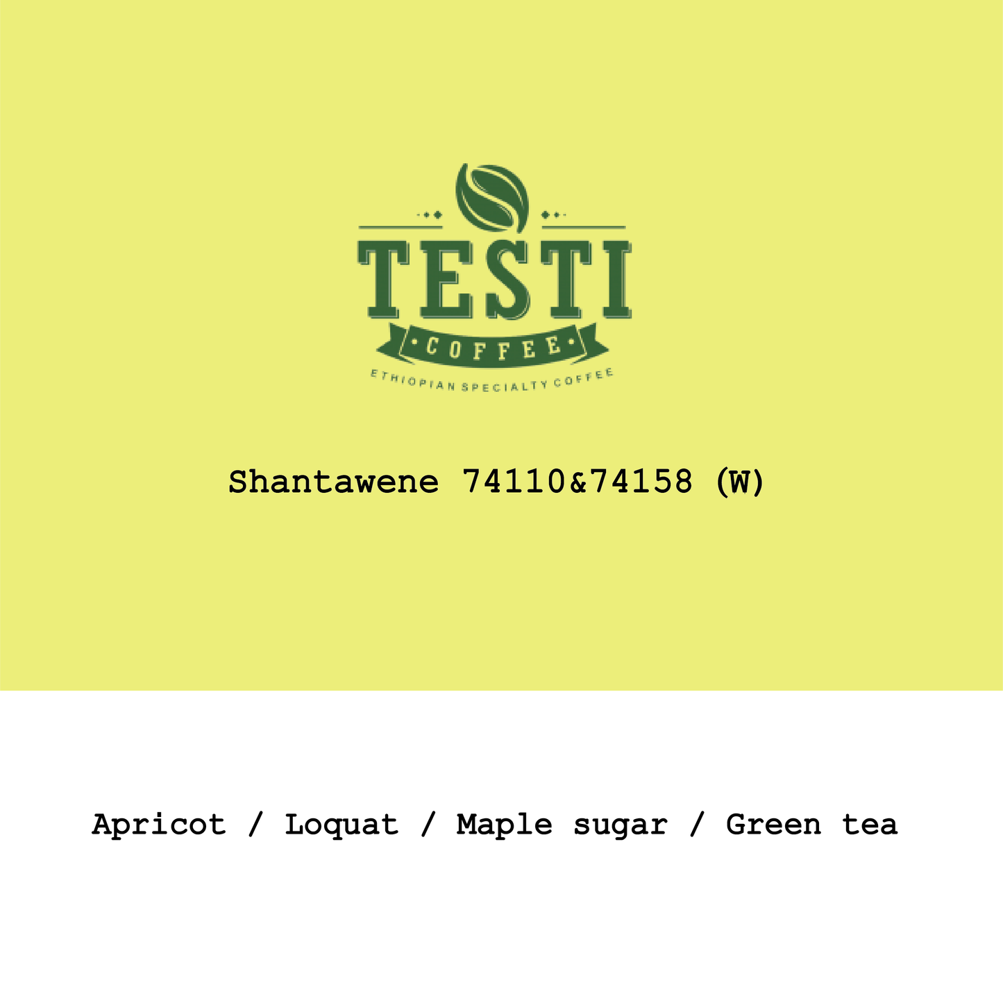 New Crop|Ethiopia Testi Ayla Shantawene 74110&74158 Washed