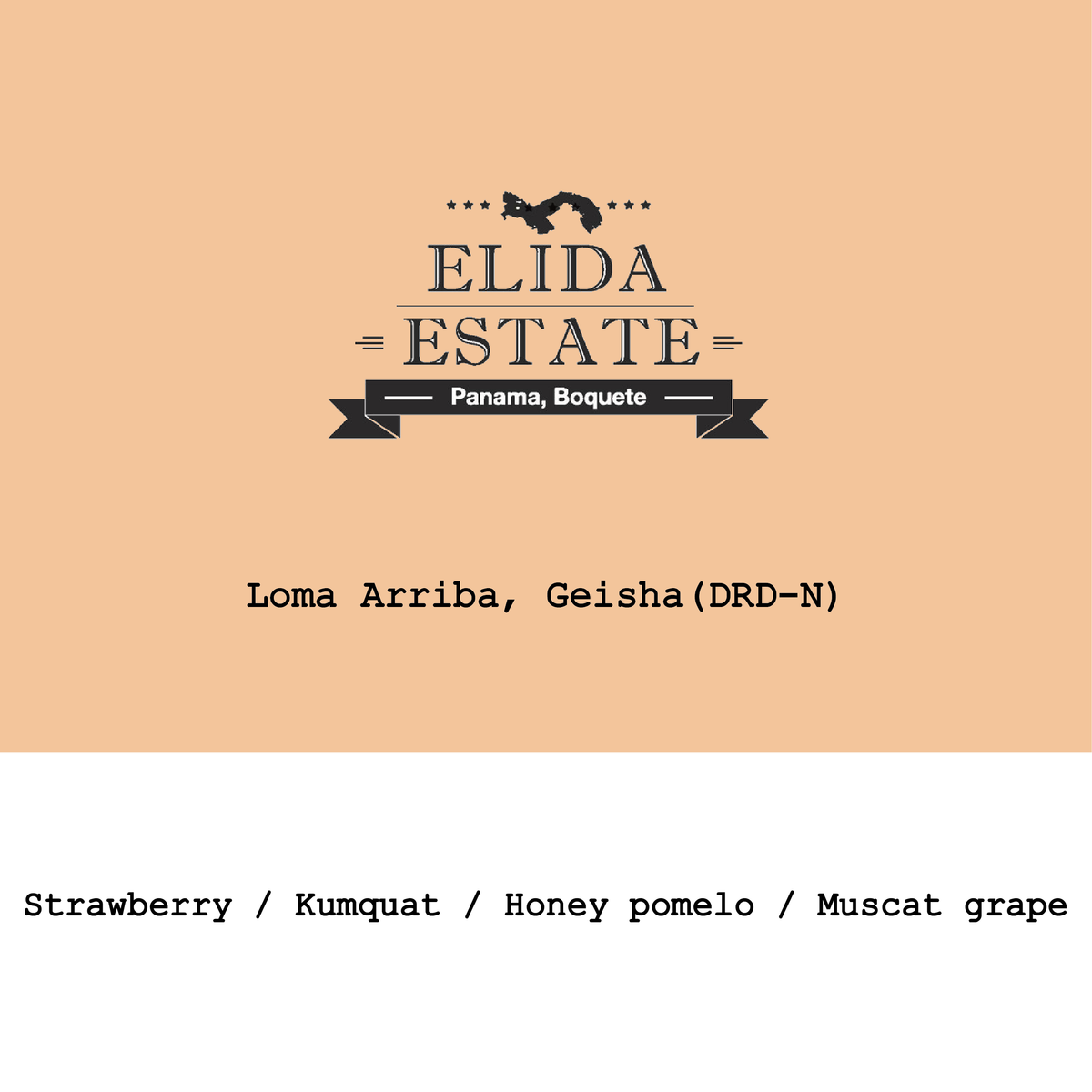 Panama elida la loma arriba 020326
