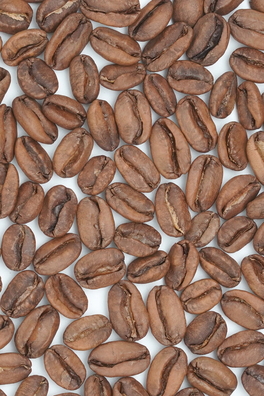 Panama Aventura Coffee Estates Geisha LotD Natural