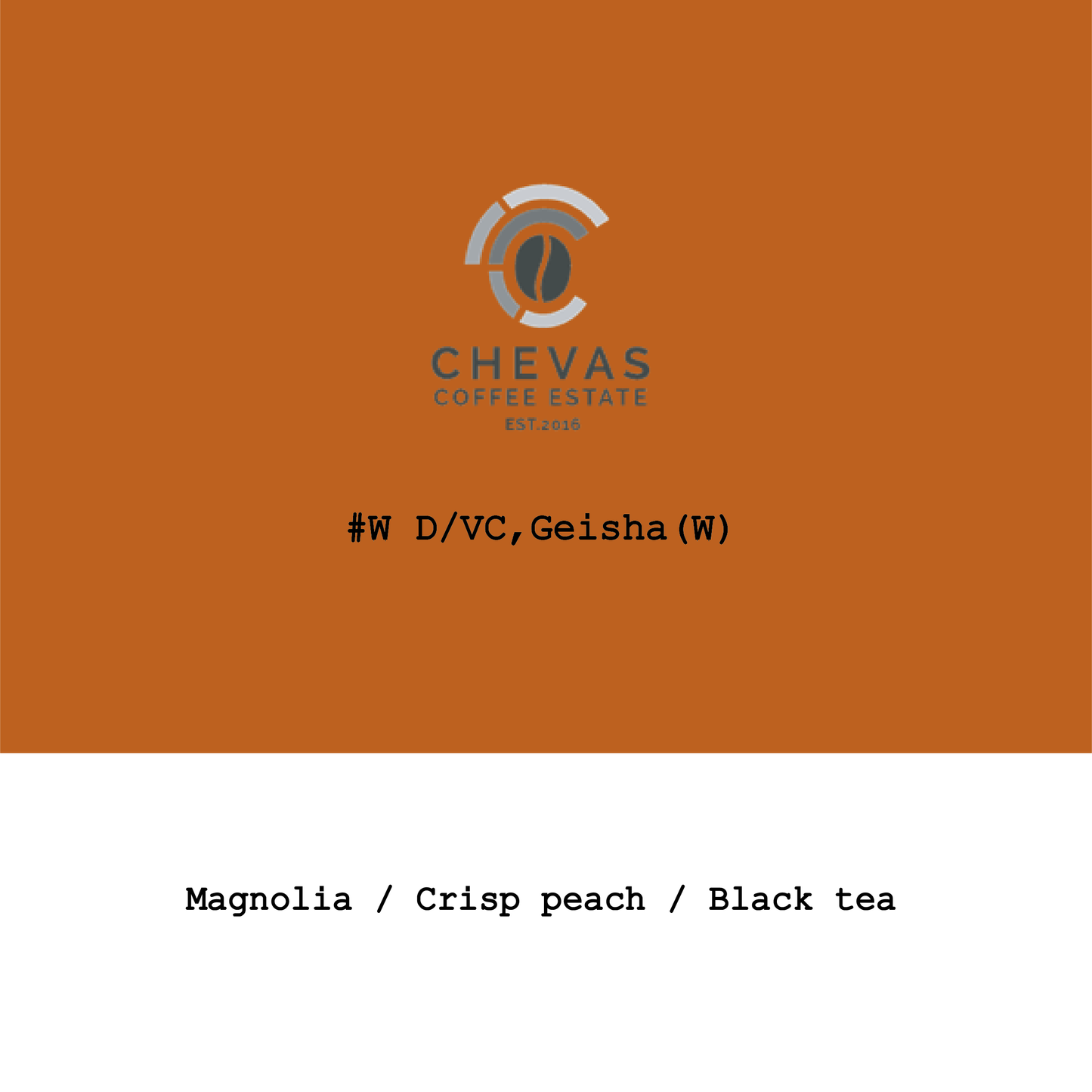 Panama Chevas Geisha Cold-Fermentation Washed