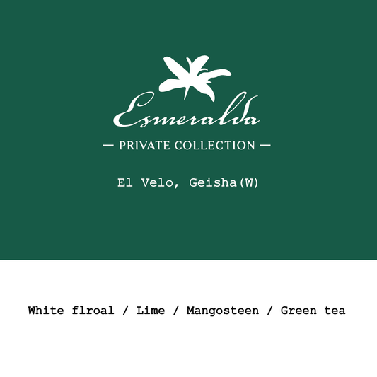 Panama La Esmeralda El Velo Geisha Washed
