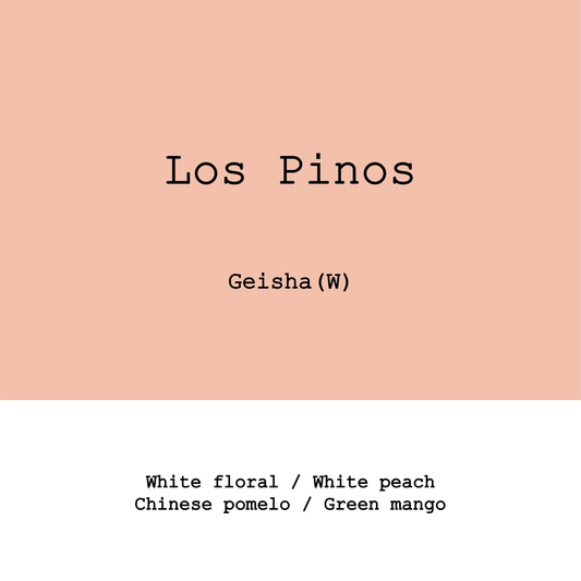 Honduras Los Pinos Geisha Washed