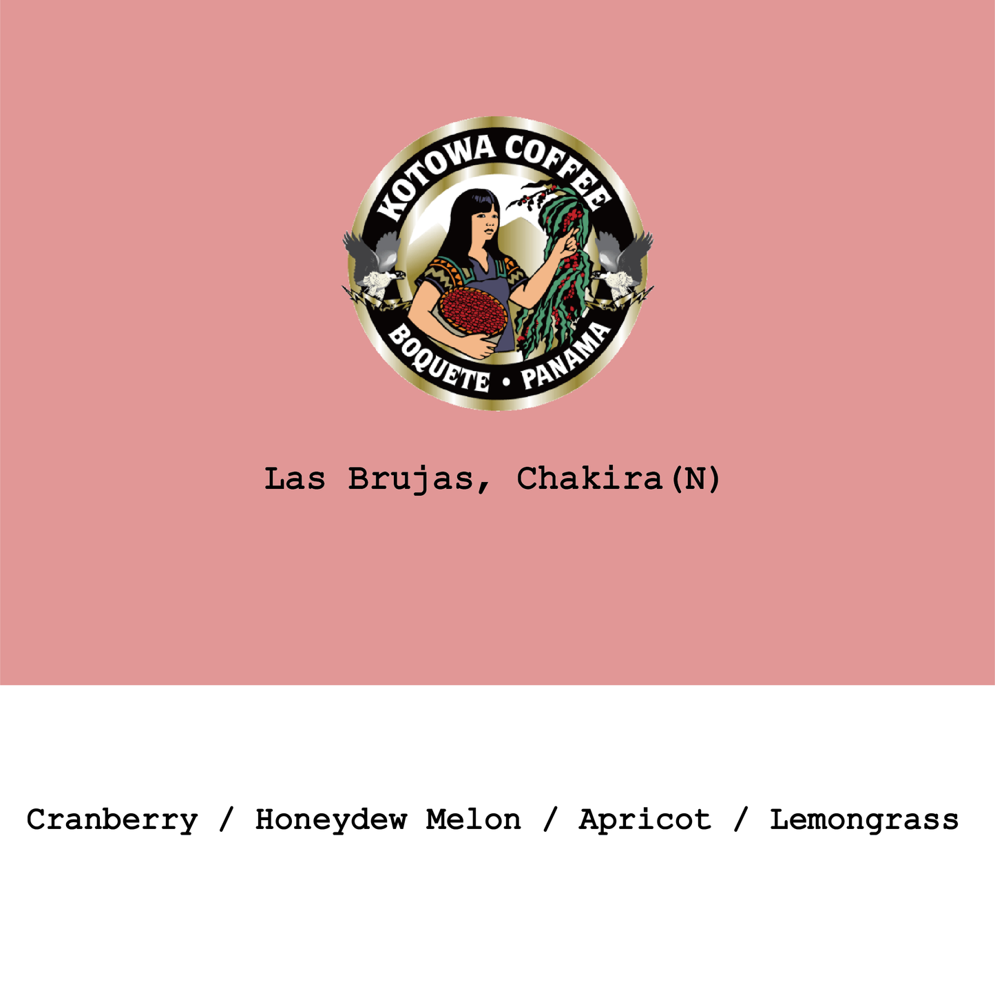 New Crop|Panama Kotowa-Las Brujas farm Chakira Natural