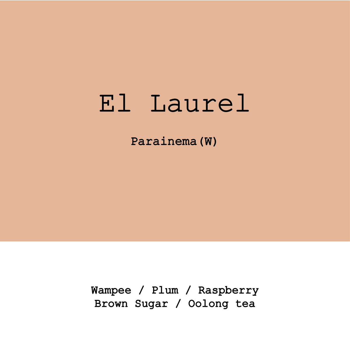 Honduras El Laurel Parainema Washed