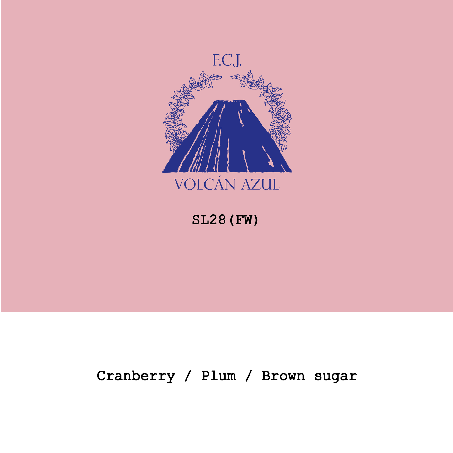 Costa Rica Volcan Azul SL28 Fully washed