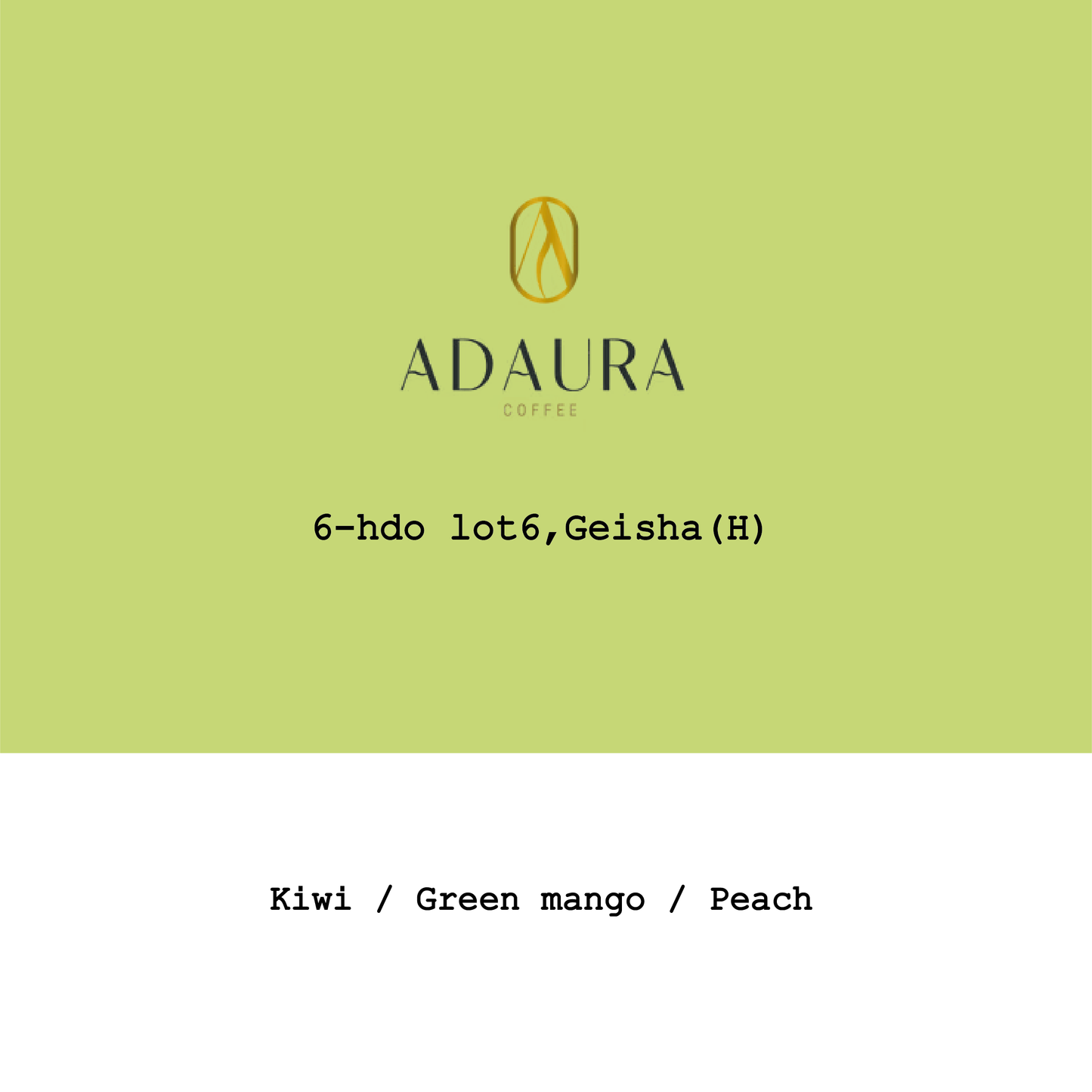 Panama Adaura Finca Lorayne Geisha Honey #6-hdo lot6