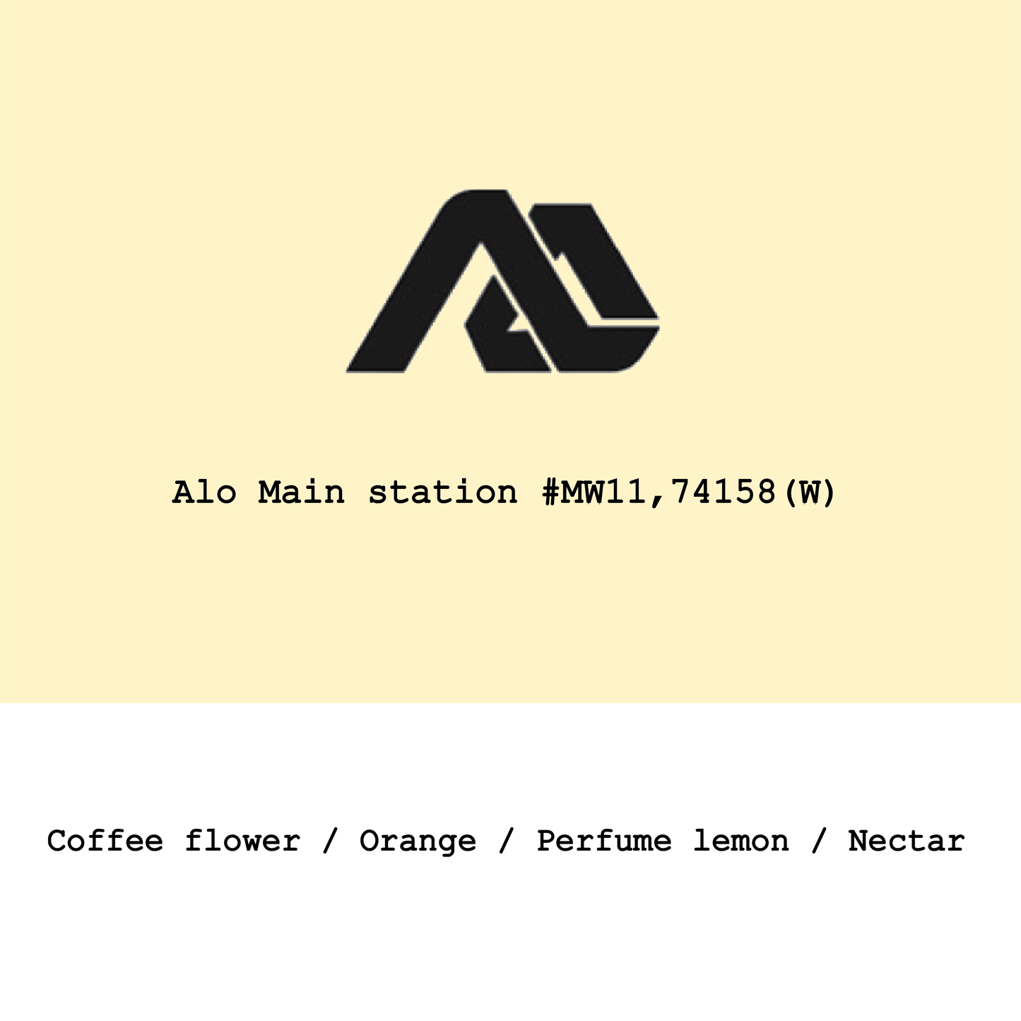 New Crop|Ethiopia Alo Main Station 74158 Classic washed Lot MW11