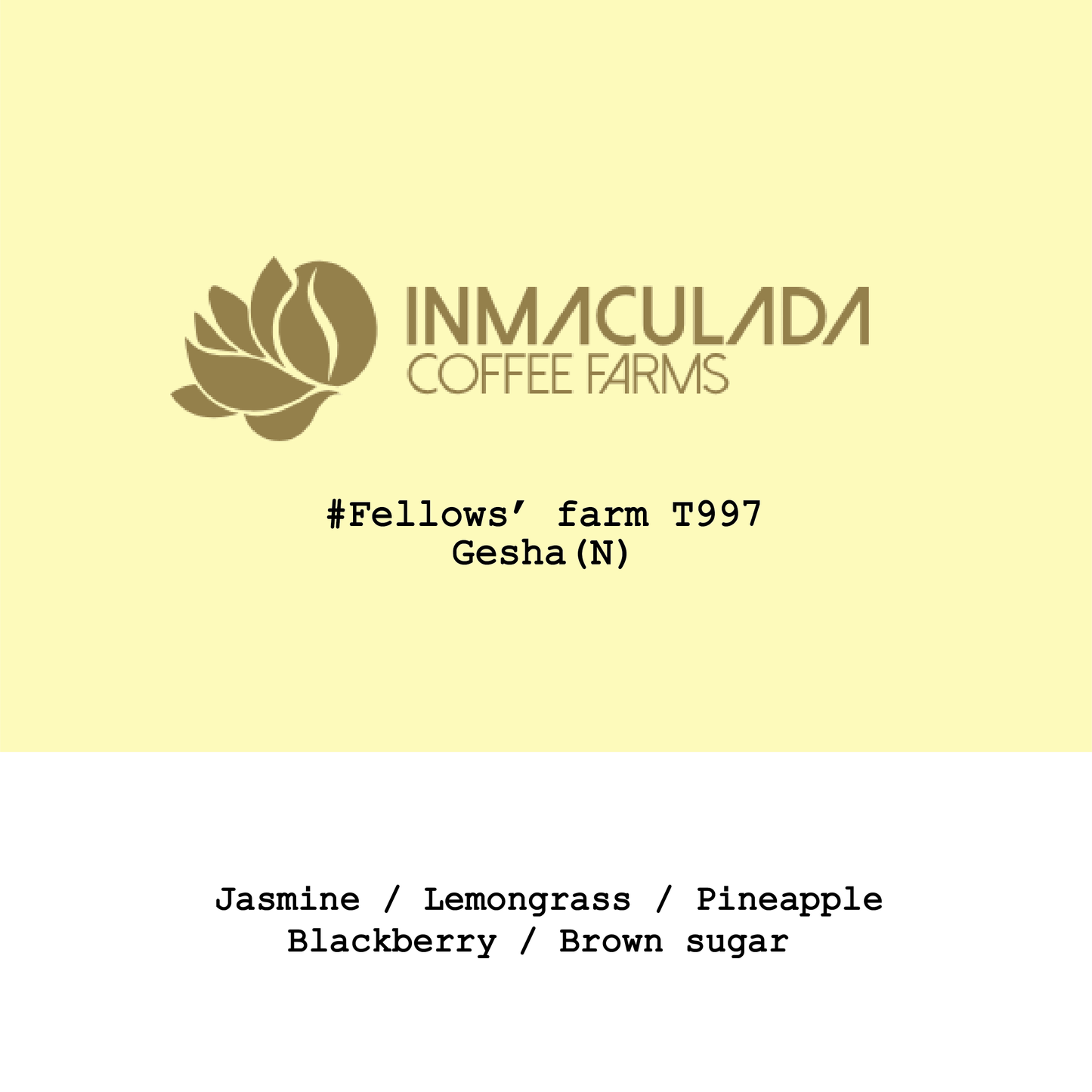 New Crop|Colombia Inmaculada Fellows' Farms Gesha Natural-T997
