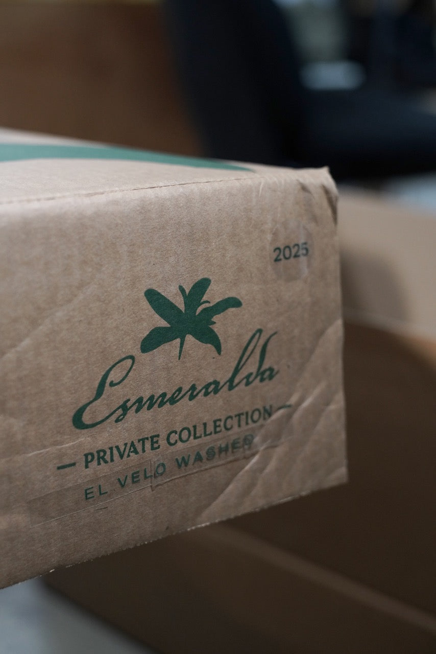 Panama La Esmeralda El Velo Geisha Washed