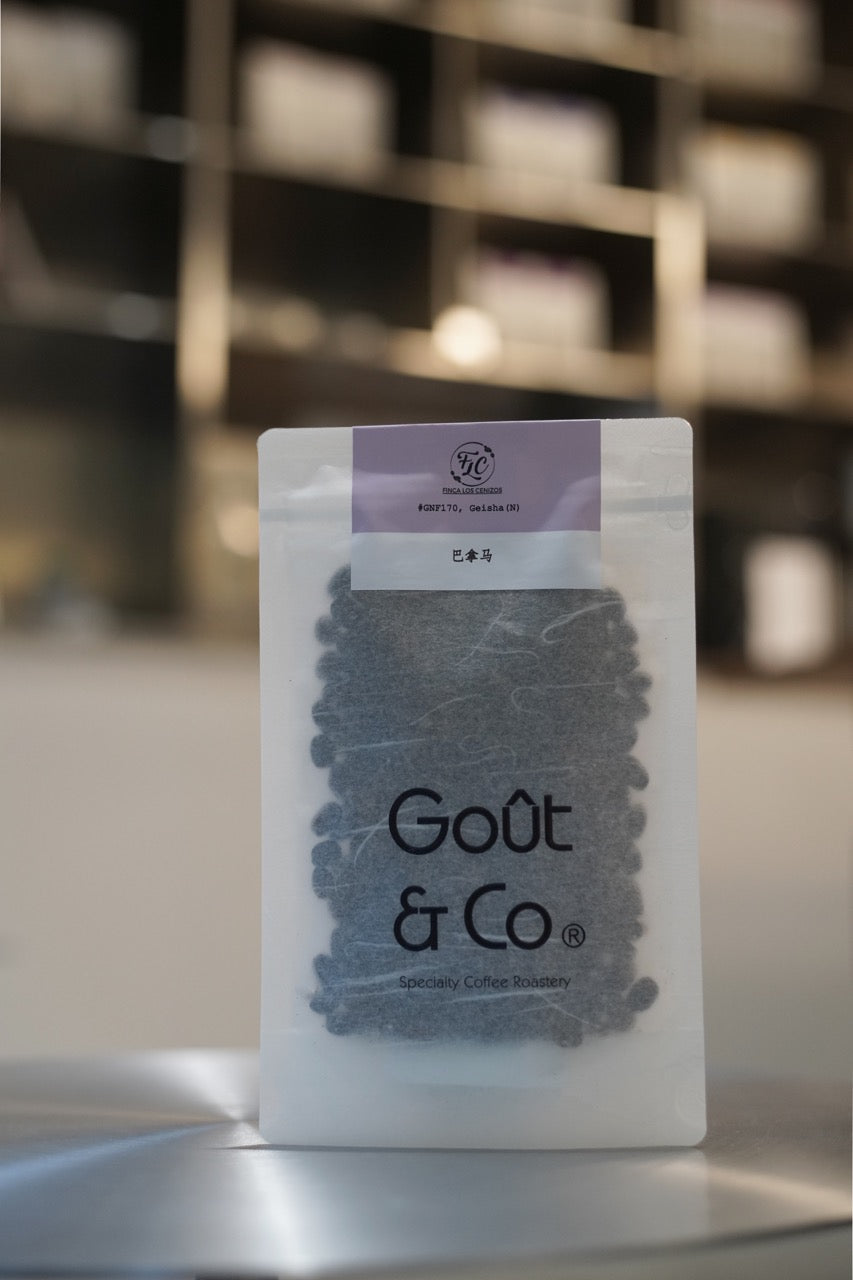 Panama Los Cenizos Geisha Cold-fermented natural #GNF170