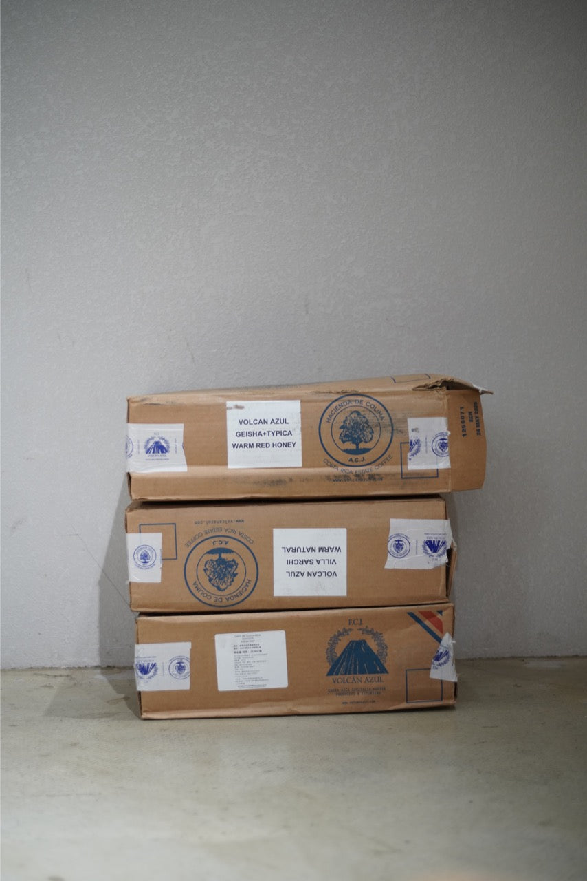 New Crop|Costa Rica Volcan Azul H1&H3 Washed Mic-lot