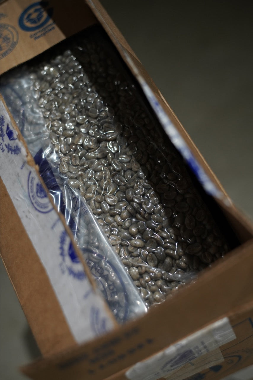 New Crop|Costa Rica Volcan Azul H1&H3 Washed Mic-lot