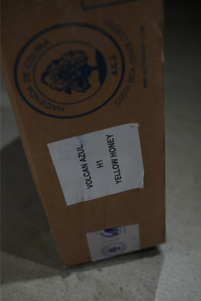 New Crop|Costa Rica Volcan Azul H1&H3 Washed Mic-lot