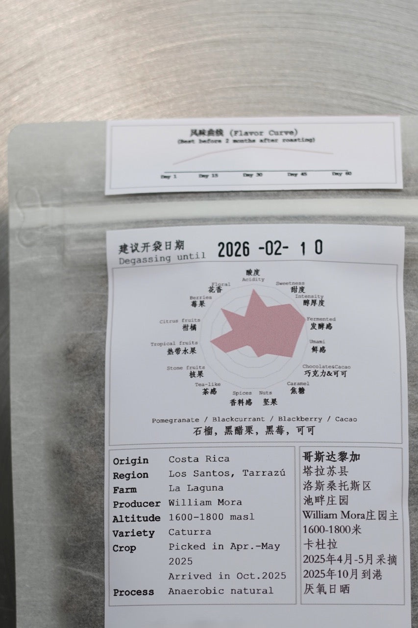 Costa Rica La Laguna Caturra Anaerobic Natural