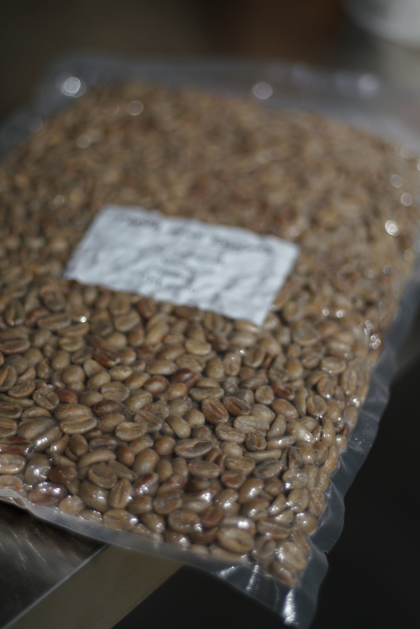 New Crop|Panama TNT Coffee Lab&Santamaaia Geisha Jungle Natural 462
