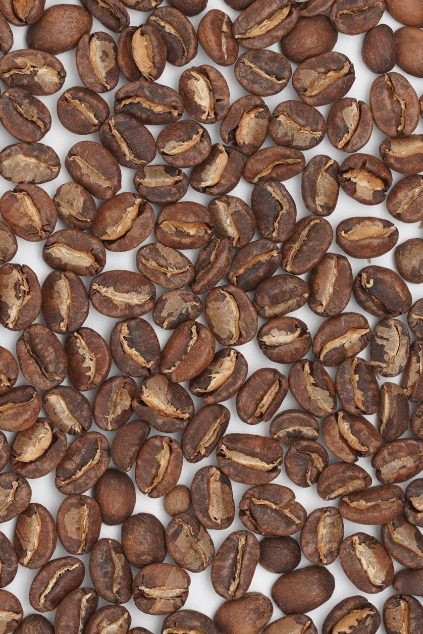 Ecuador El Dorado Green Tip Gesha Washed