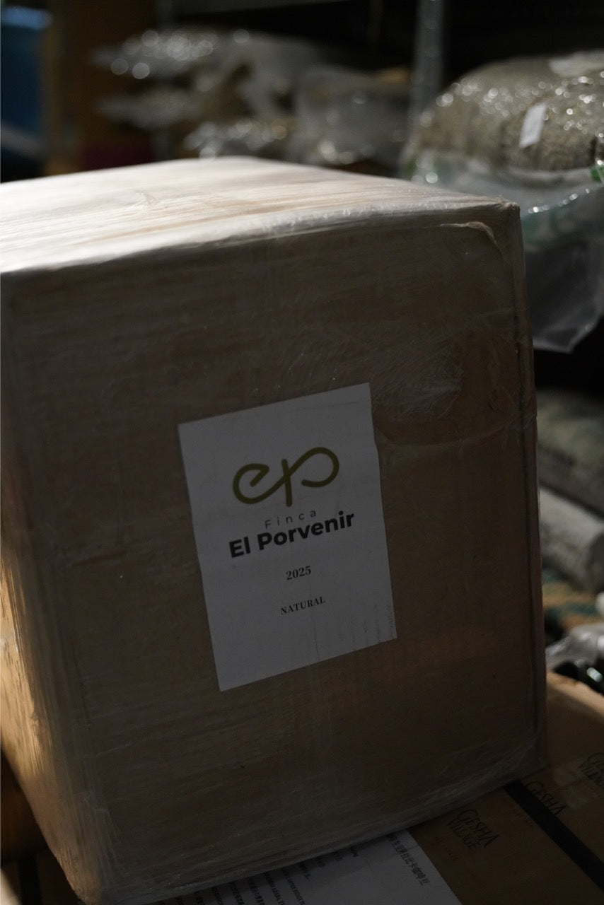 New Crop|Colombia El Porvenir Gesha Natural