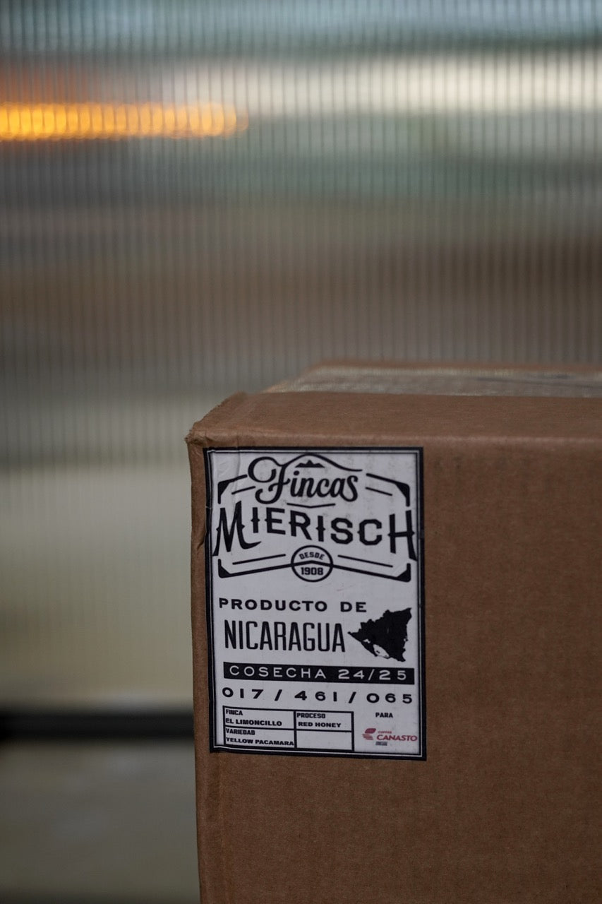 New Crop|Nicaragua Finca Mierisch-El Limoncillo Yellow Pacamara Red Honey