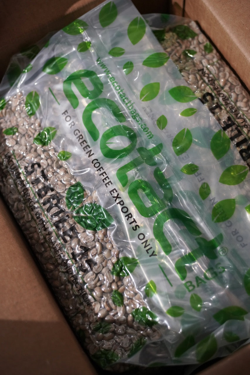 New Crop|Nicaragua Finca Mierisch-El Limoncillo Yellow Pacamara Red Honey
