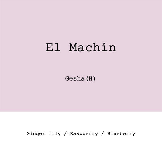 Colombia El Machín Gesha Honey