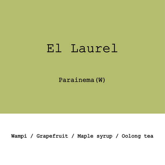 Honduras El Laurel Parainema Washed