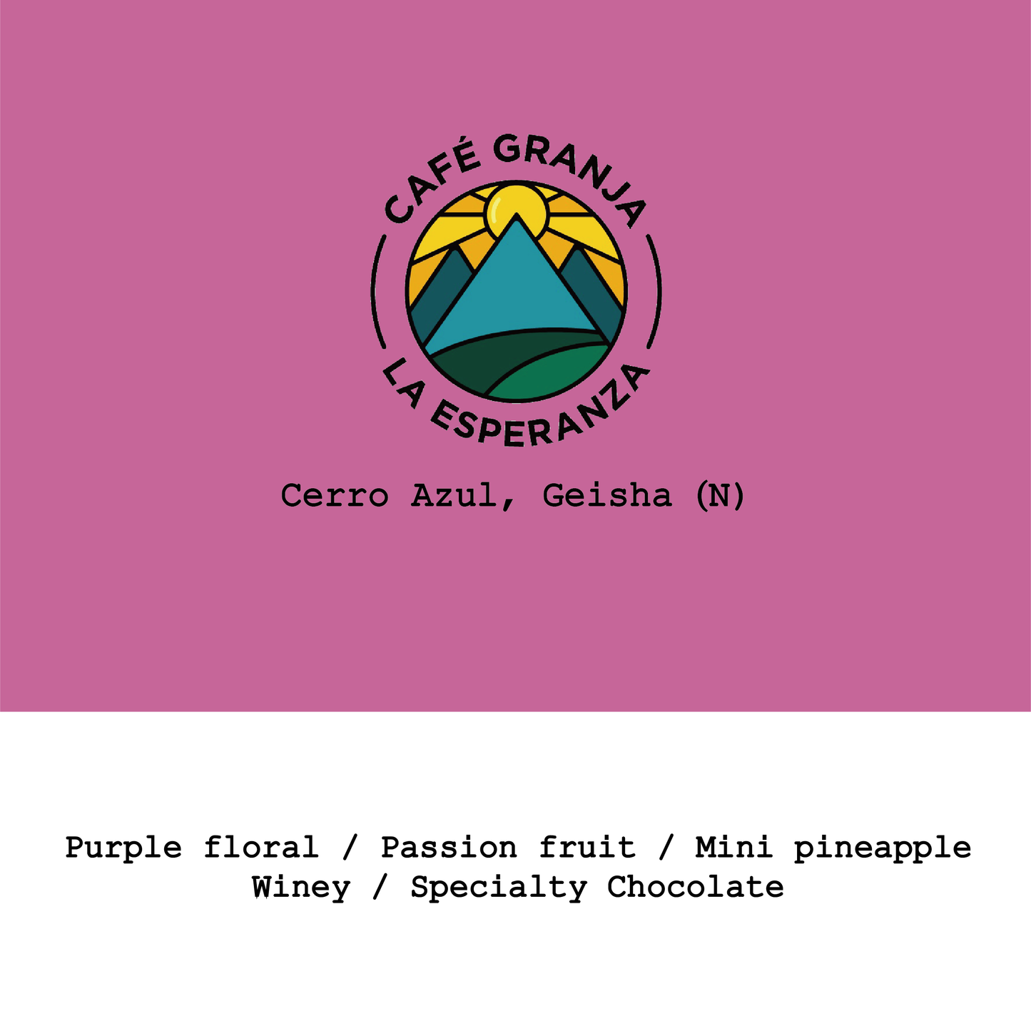 New Crop|Colombia Café Granja La Espenranza-Cerro Azul Geisha Natural