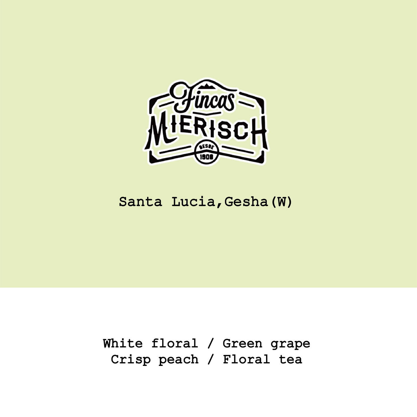 Honduras Santa Lucia Gesha Washed