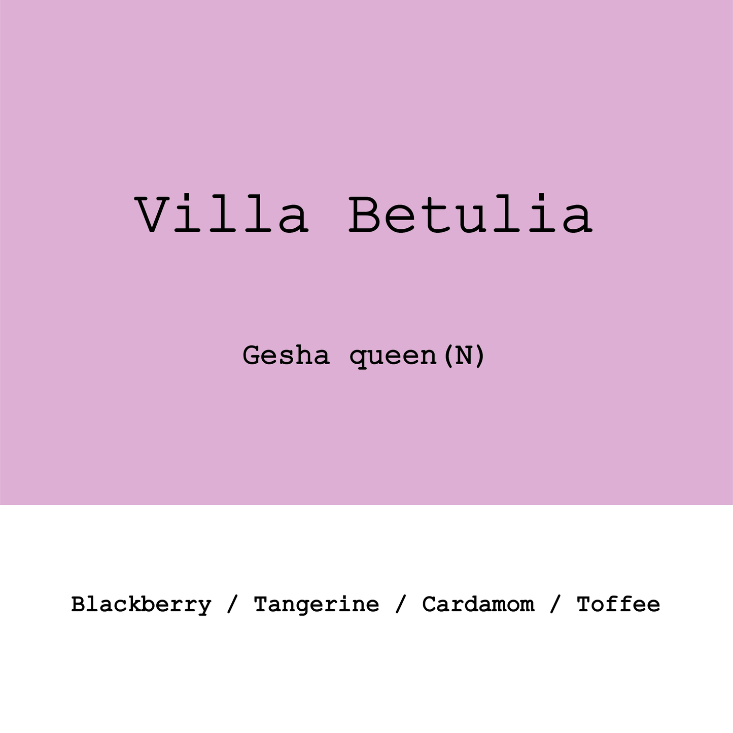 New Crop|Colombia Villa Betulia Gesha Queen Natural