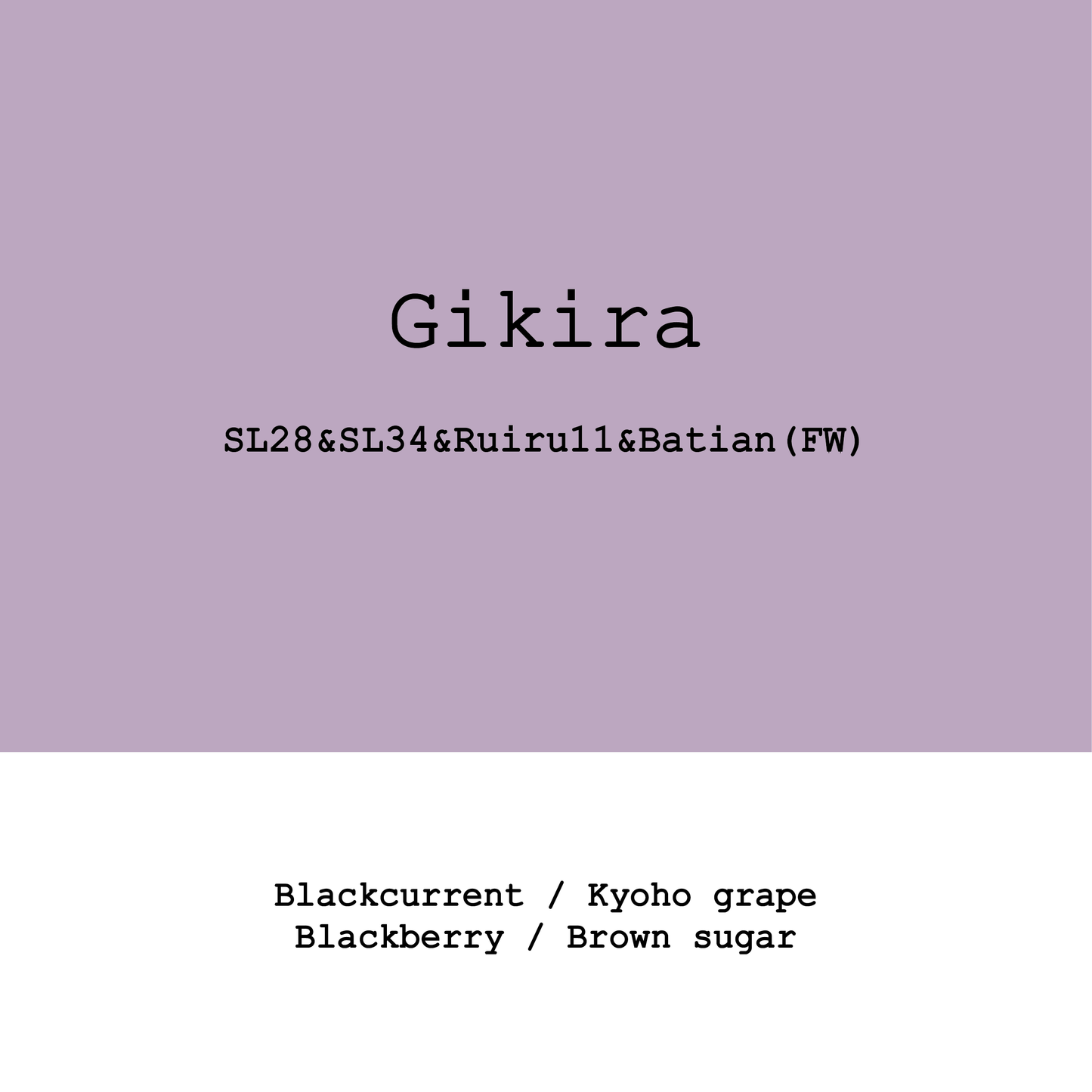 Kenya Gikira estate SL28&SL34&Ruiru11 &Batian Fully washed