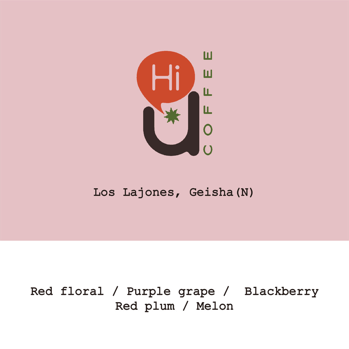 Panama Los Lajones Geisha Natural #04281