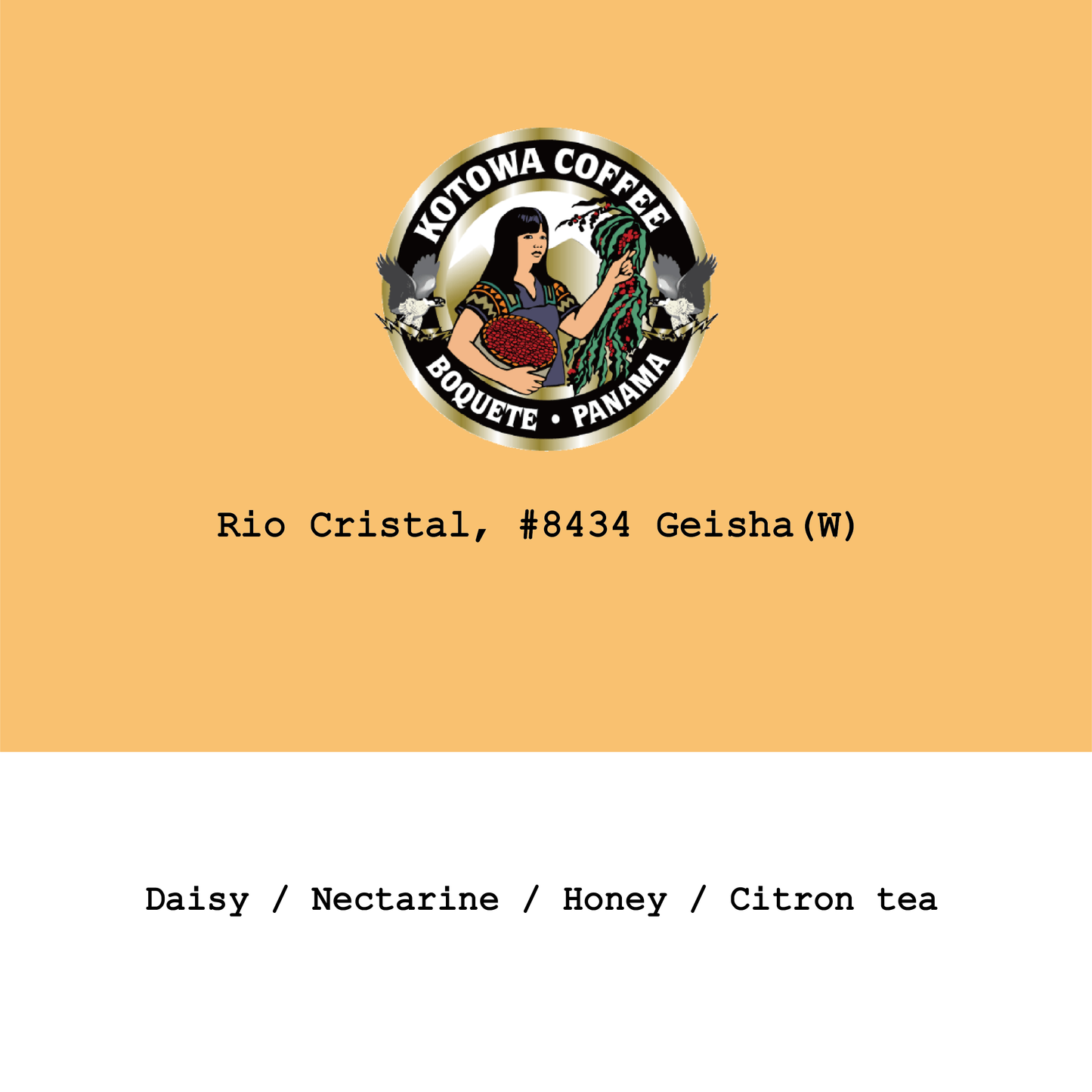 New Crop|Panama Kotowa-Rio cristal farm Geisha Washed