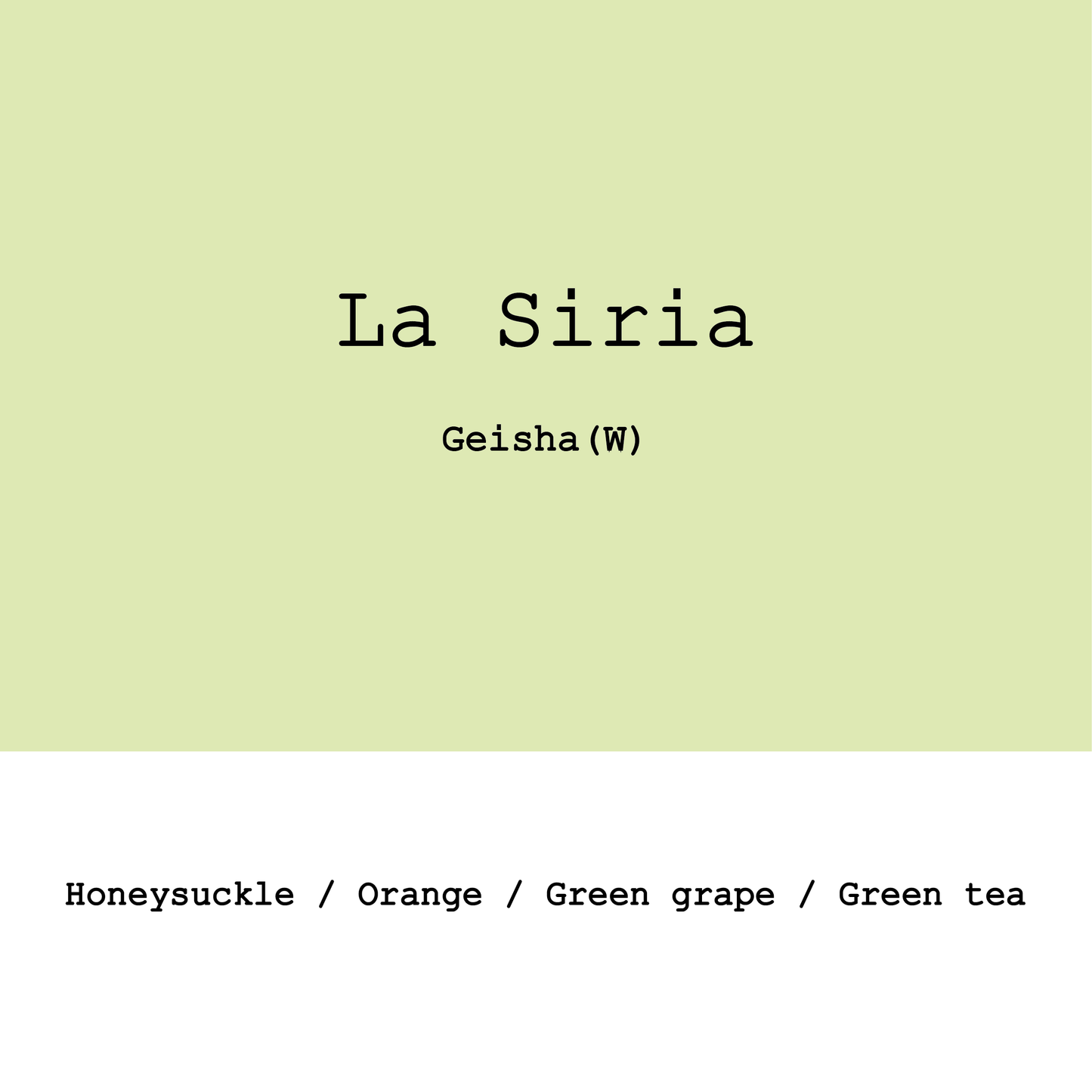 Colombia La Siria Geisha Washed
