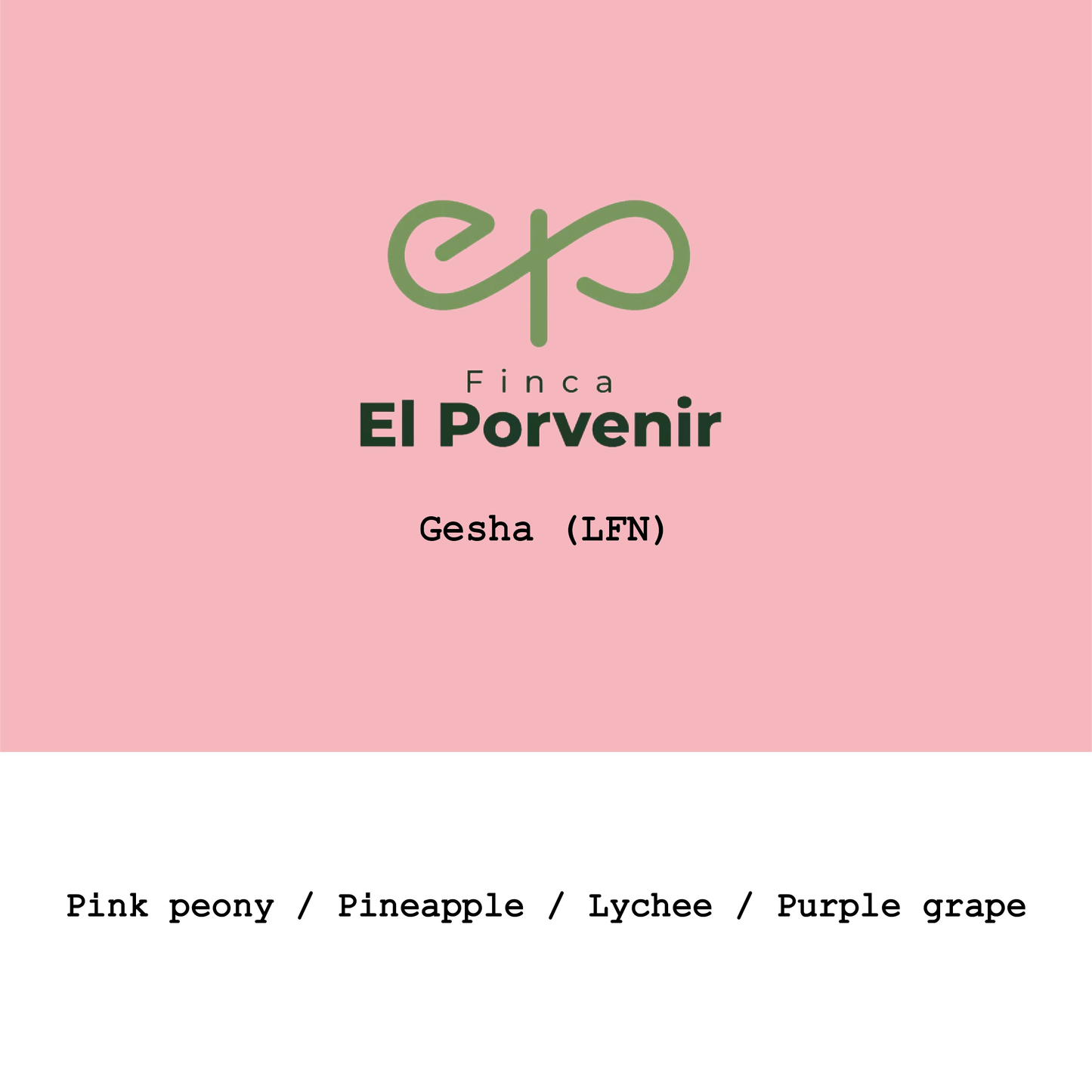 Colombia El Porvenir Geisha Light fermentation natural