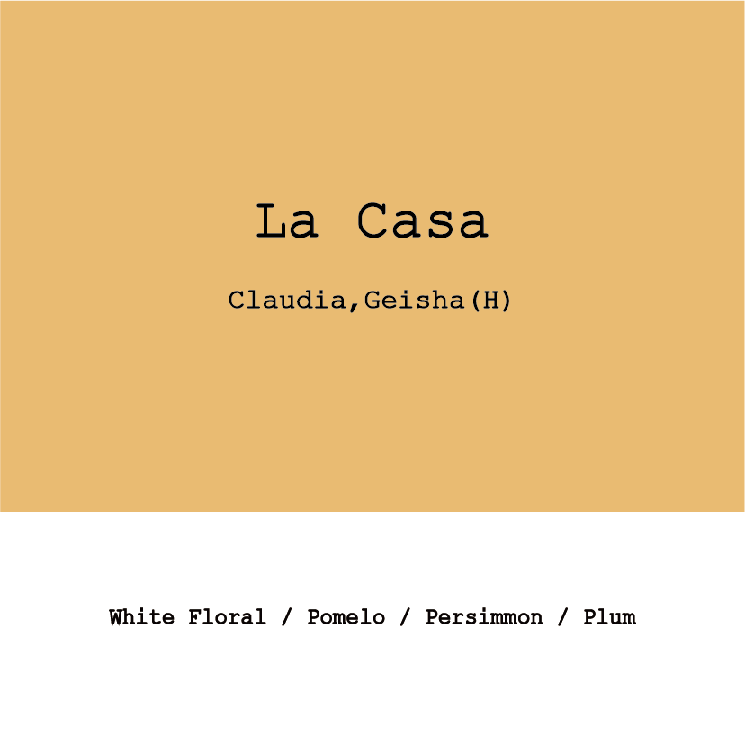 Honduras La Casa Geisha Honey