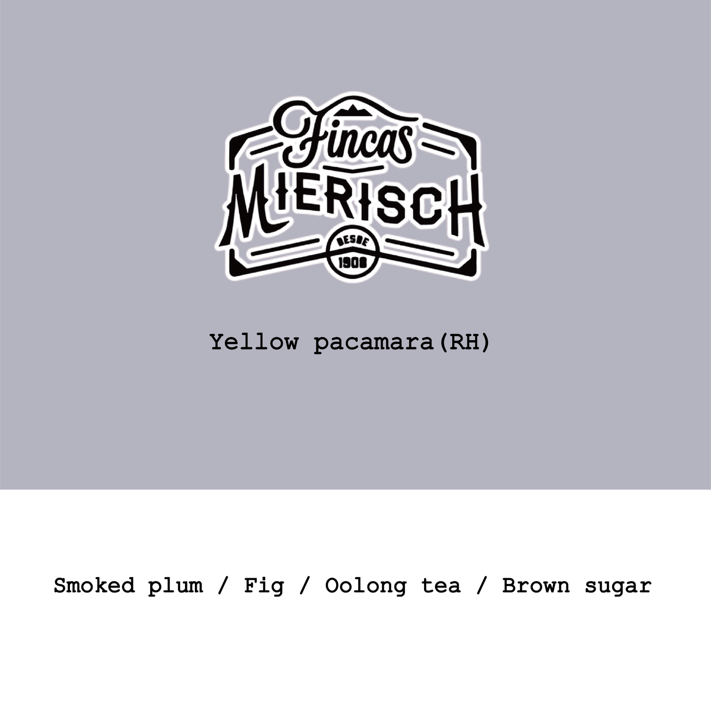 New Crop|Nicaragua Finca Mierisch-El Limoncillo Yellow Pacamara Red Honey