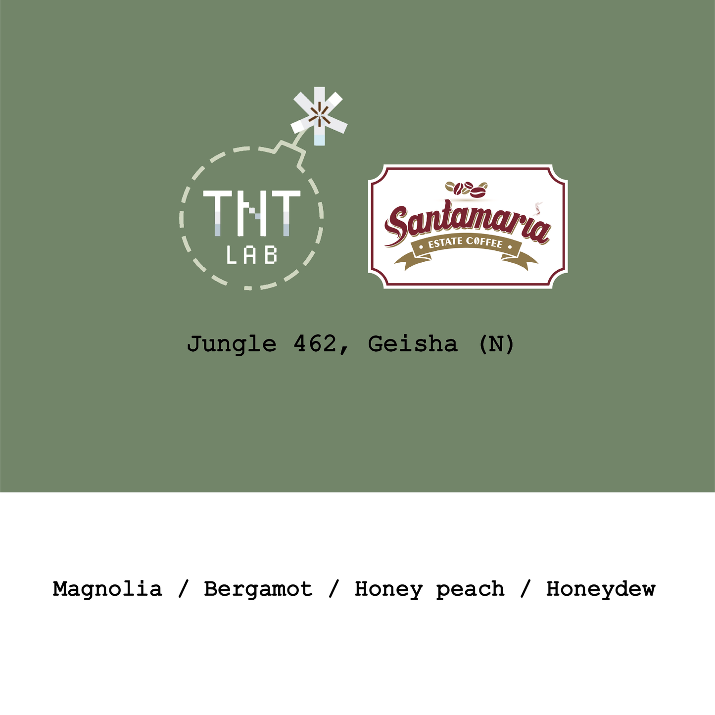 New Crop|Panama TNT Coffee Lab&Santamaaia Geisha Jungle Natural 462