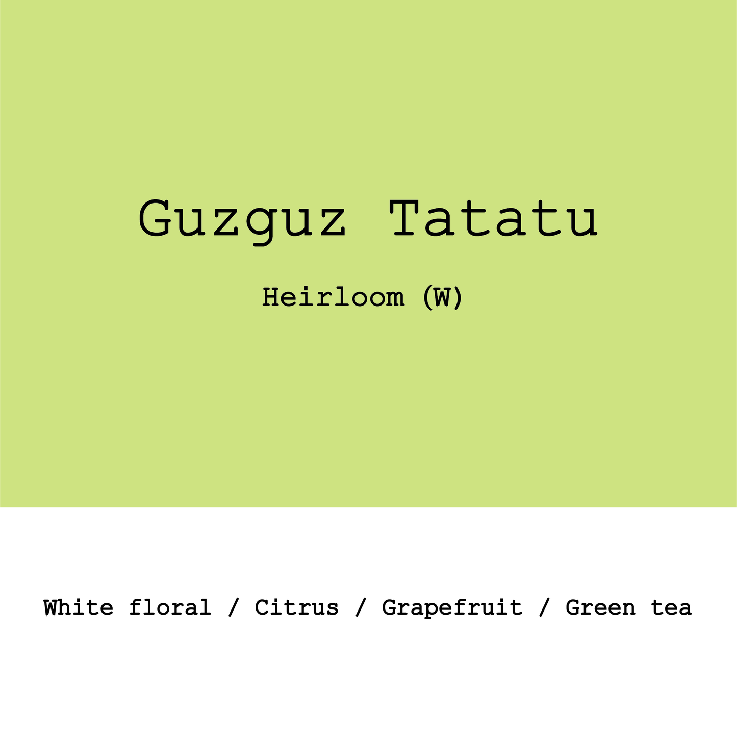 New Crop|Ethiopia Guzguz Tatatu Heirloom G1 Washed