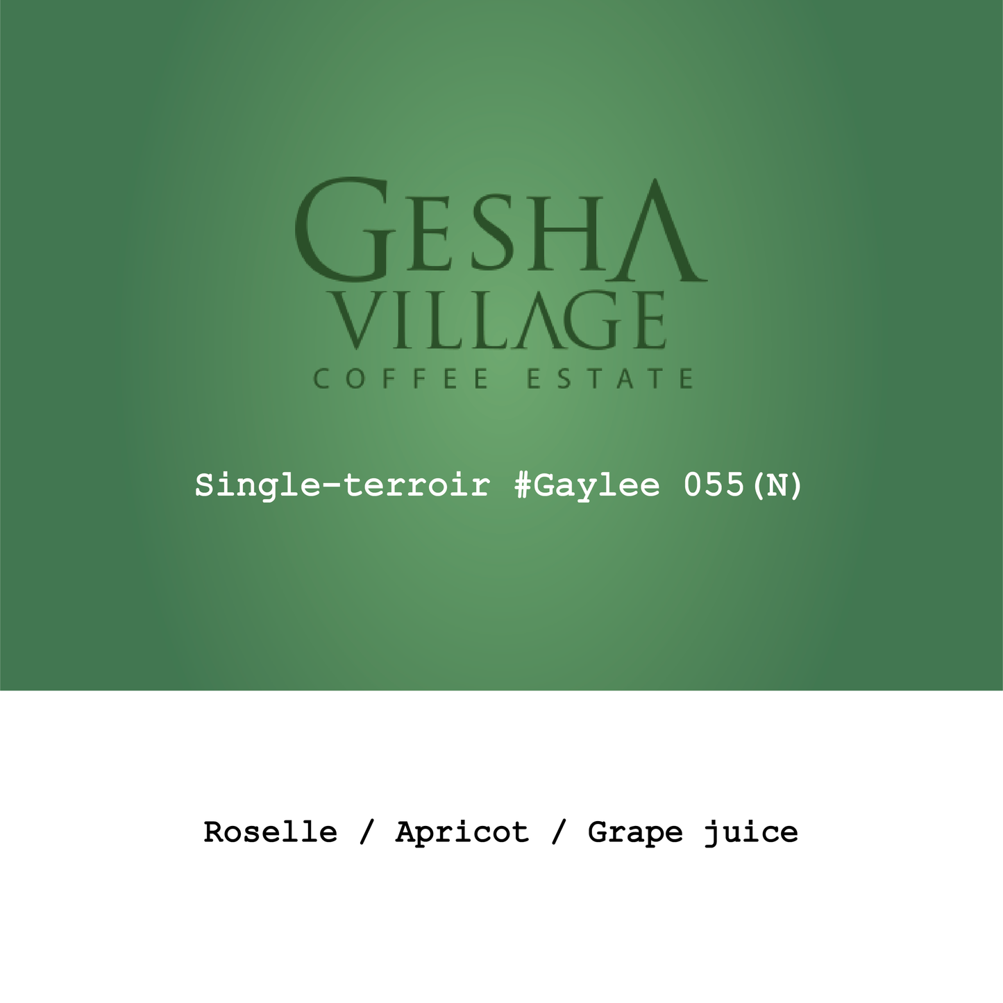2026 New Crop Ethiopia Gesha Village Single-terroir#Gaylee055 Illubabor Natural