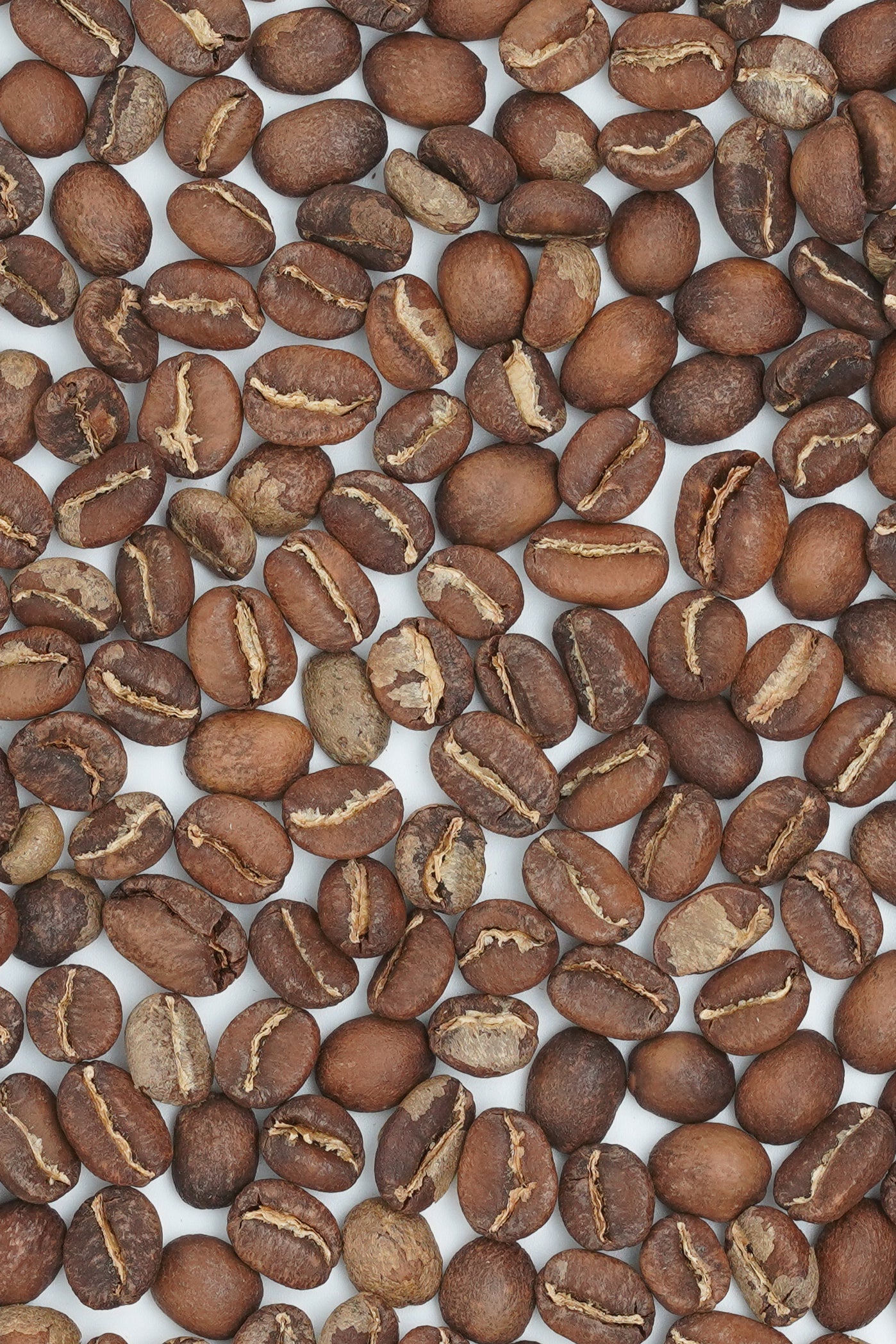 2026 New Crop Ethiopia Elto Coffee-Bona station 74158 Washed