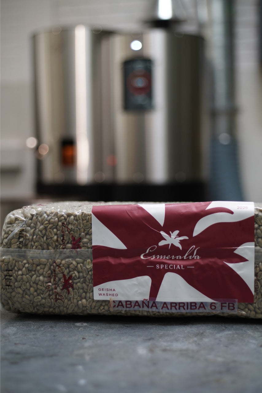 Panama HLE-Cañas Verdes Cabaña Arriba #6FB Geisha Cold fermentation washed