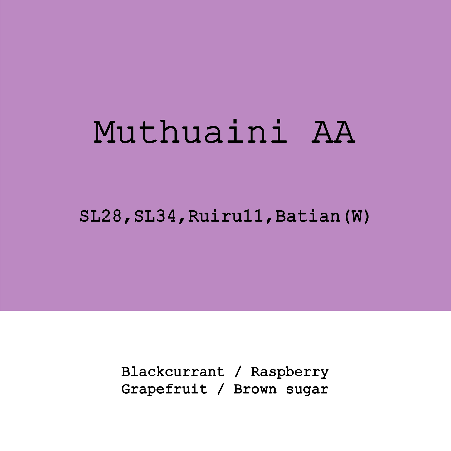 New Crop|Kenya Mutheka Muthuaini AA SL28, SL34, Ruiru11, Batian Fully washed