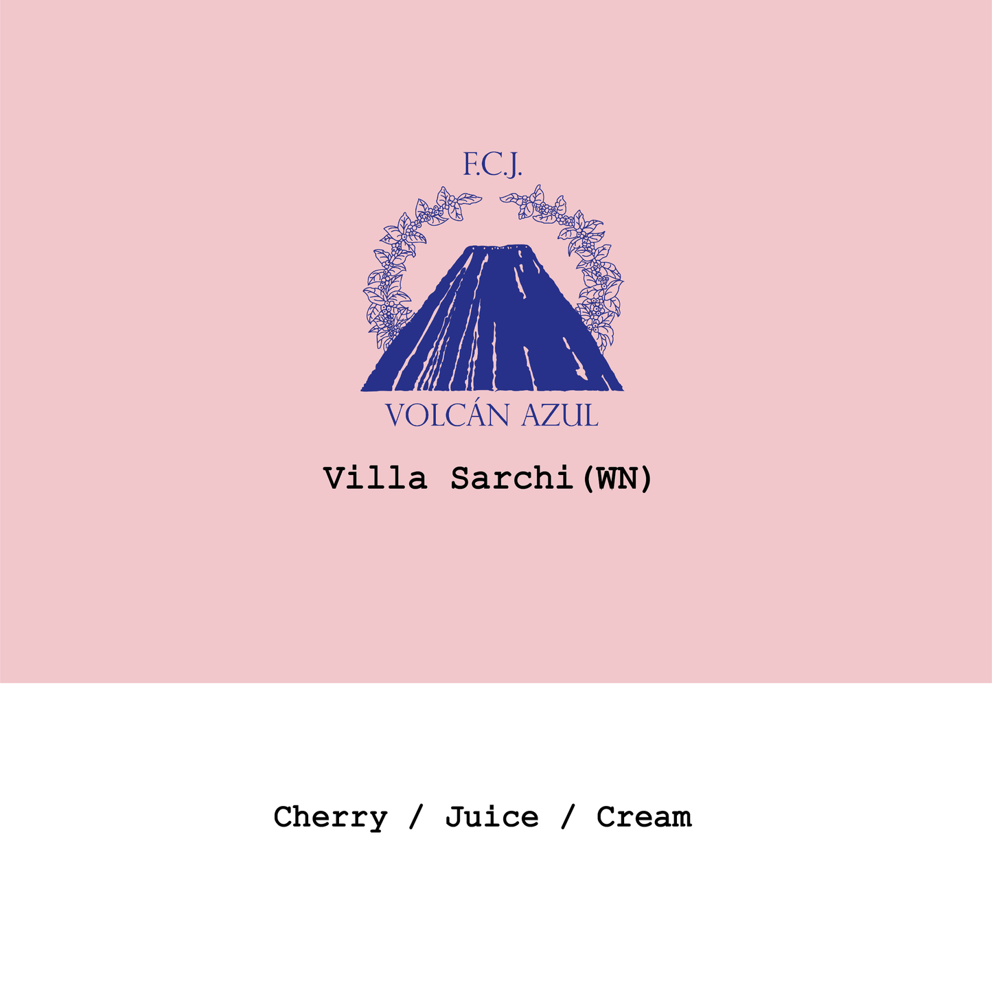 New Crop|Costa Rica Volcan Azul Villa Sarchi Warm Natural