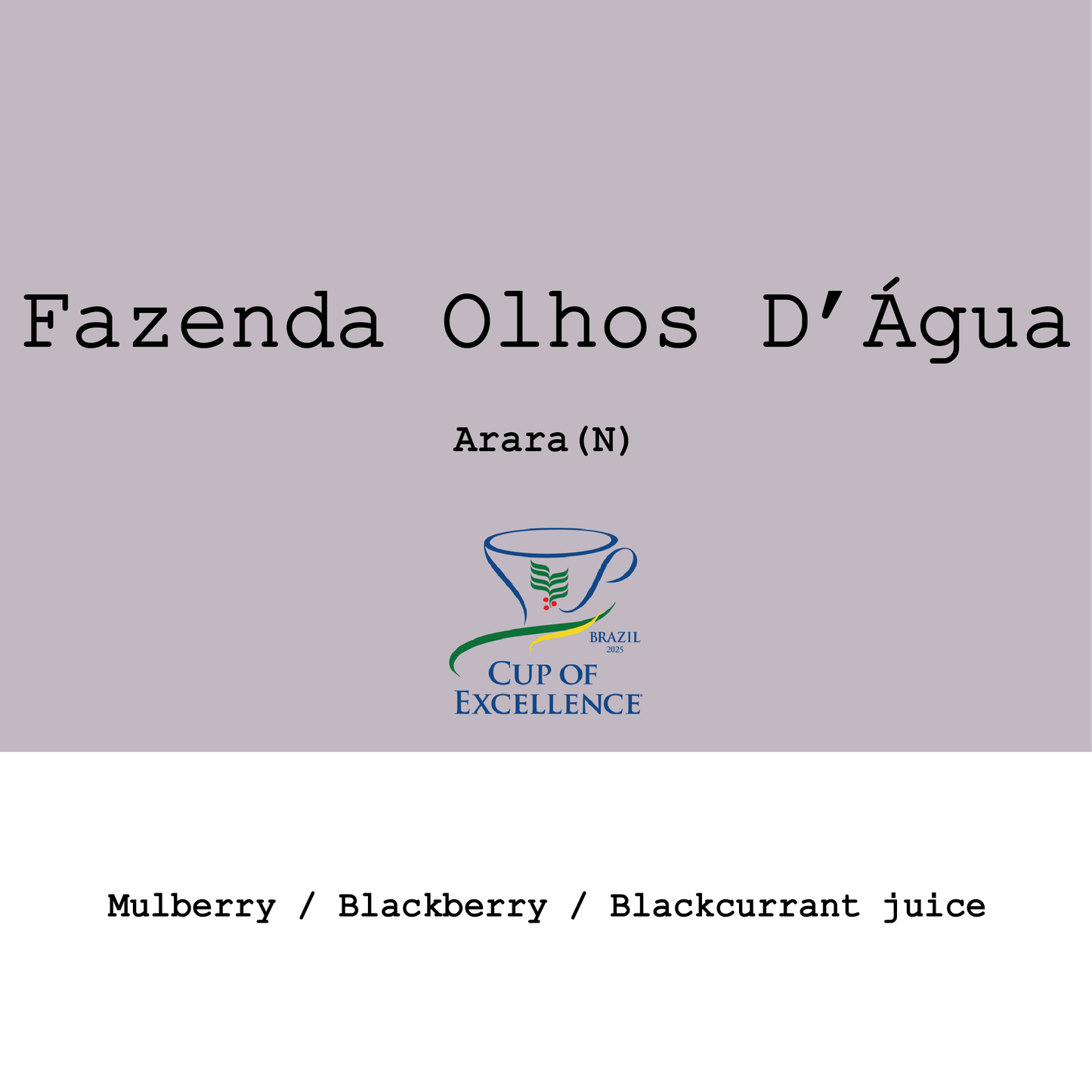 Brazil Fazenda Olhos D'Água Arara Natural 2025 CoE Experimental #4