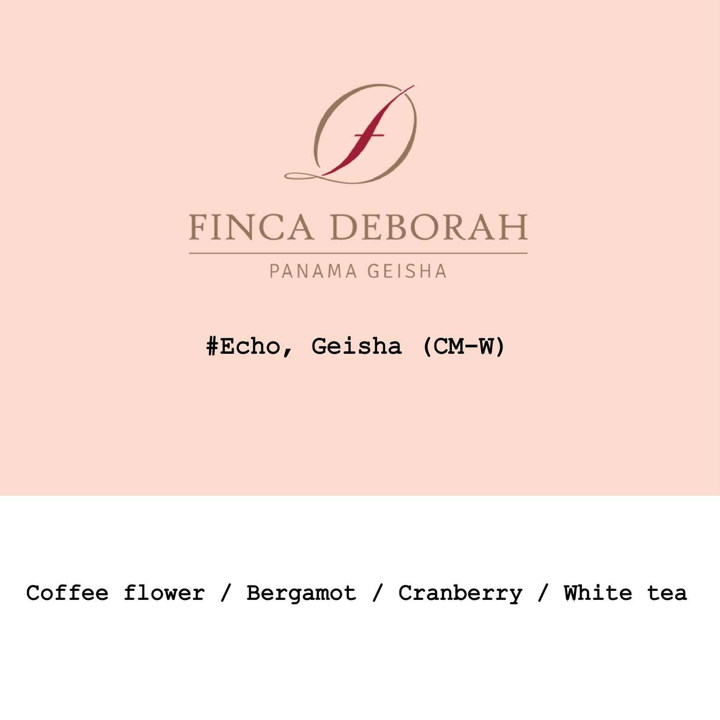 New Crop|Panama Finca Deborah Geisha Cascara infused CM washed #Echo