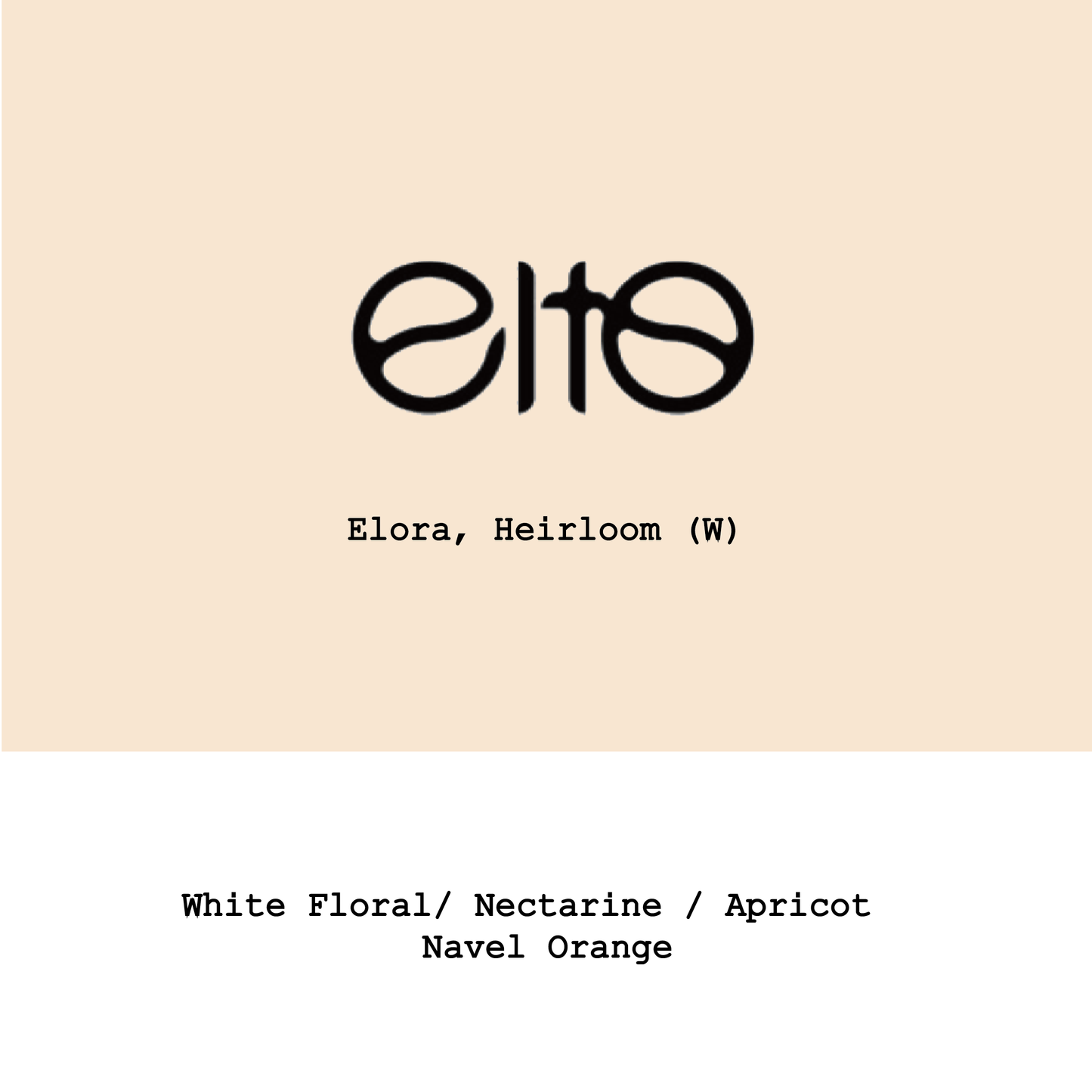 Ethiopia Elto Coffee-Elora Heirloom Washed