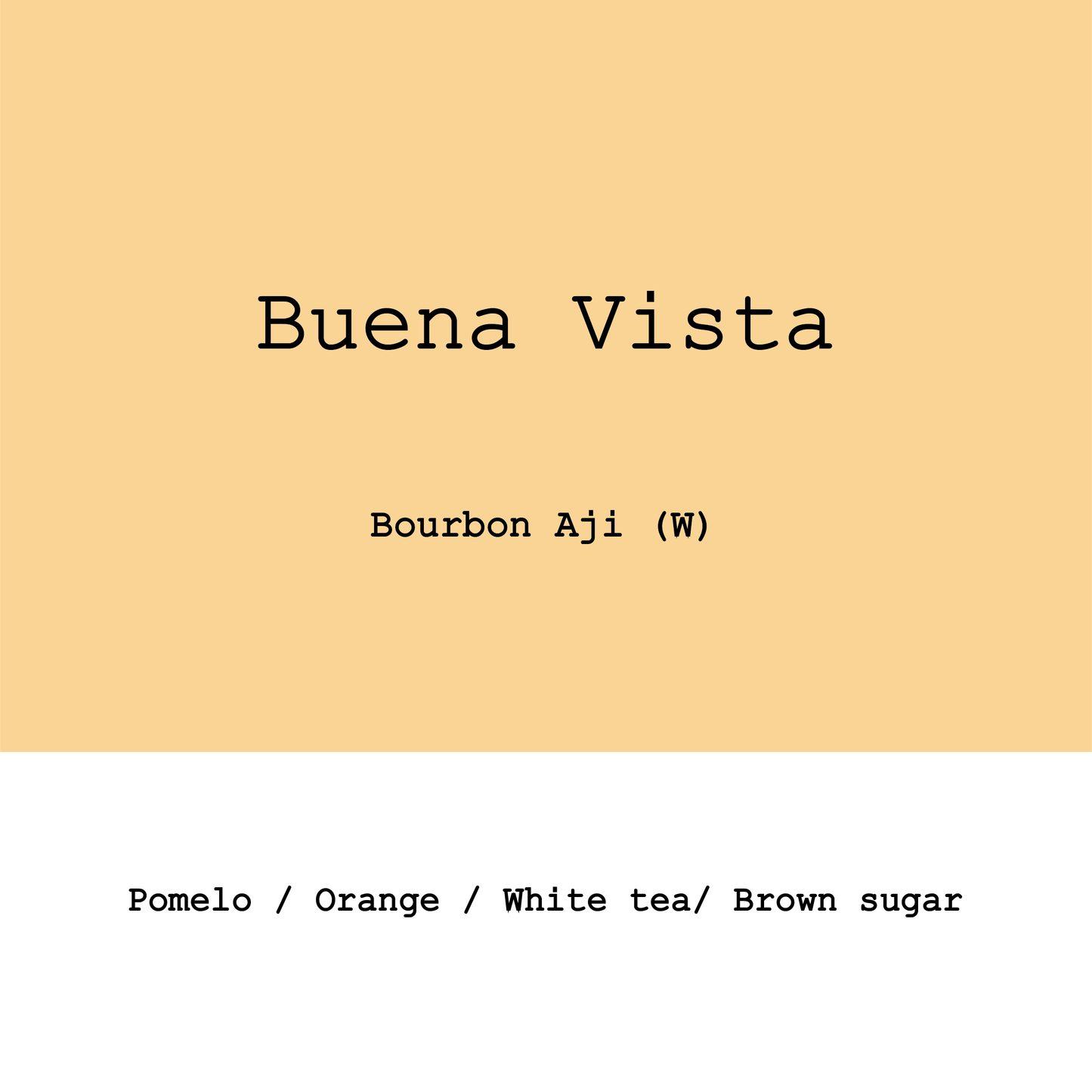 New Crop|Colombia Buena Vista Farm Sambony Bourbon Aji Washed