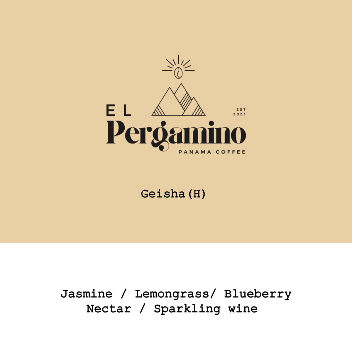 Panama El Pergamino Geisha Honey