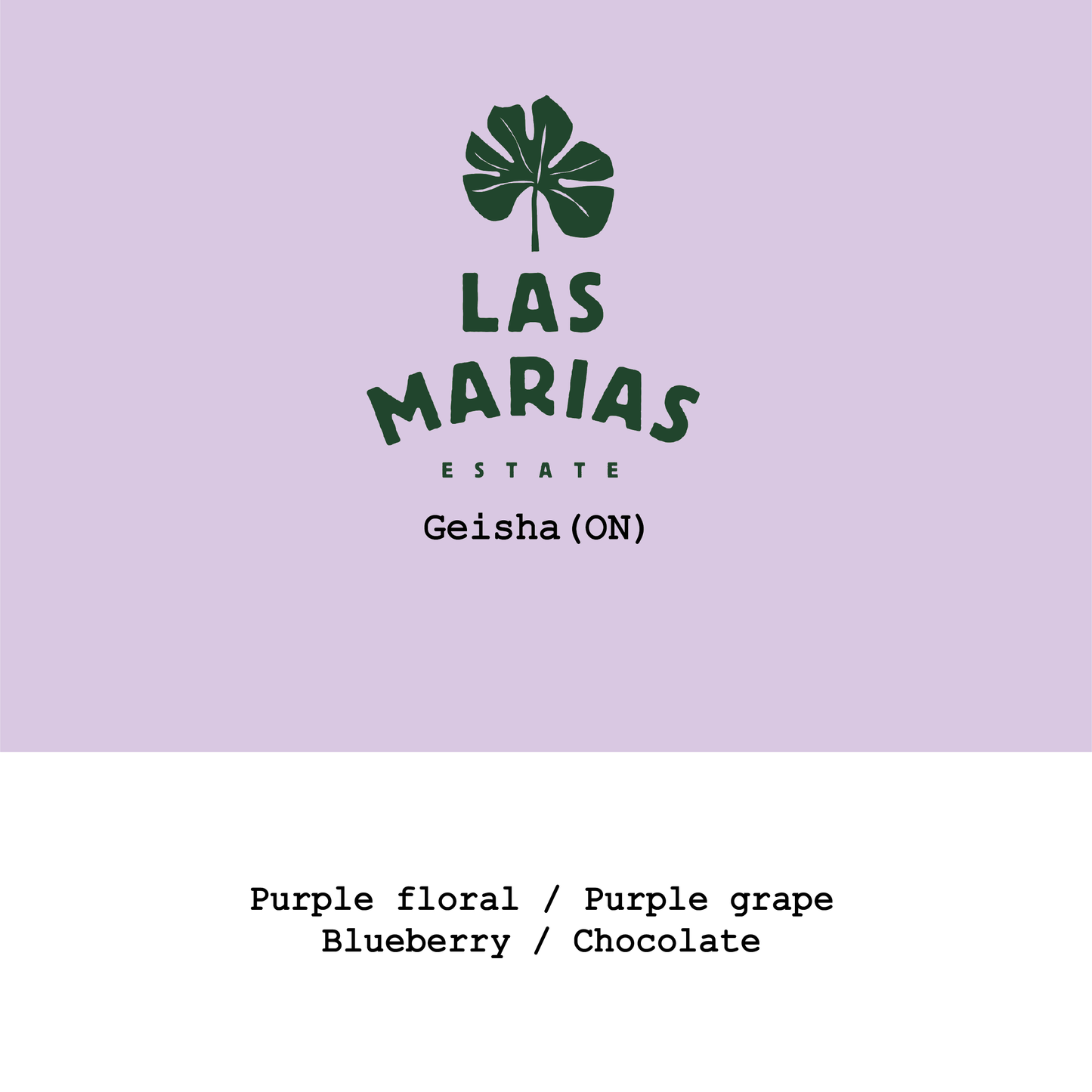 New Crop|Colombia Las Marías Estate Geisha Oxydator Natural (48hrs)