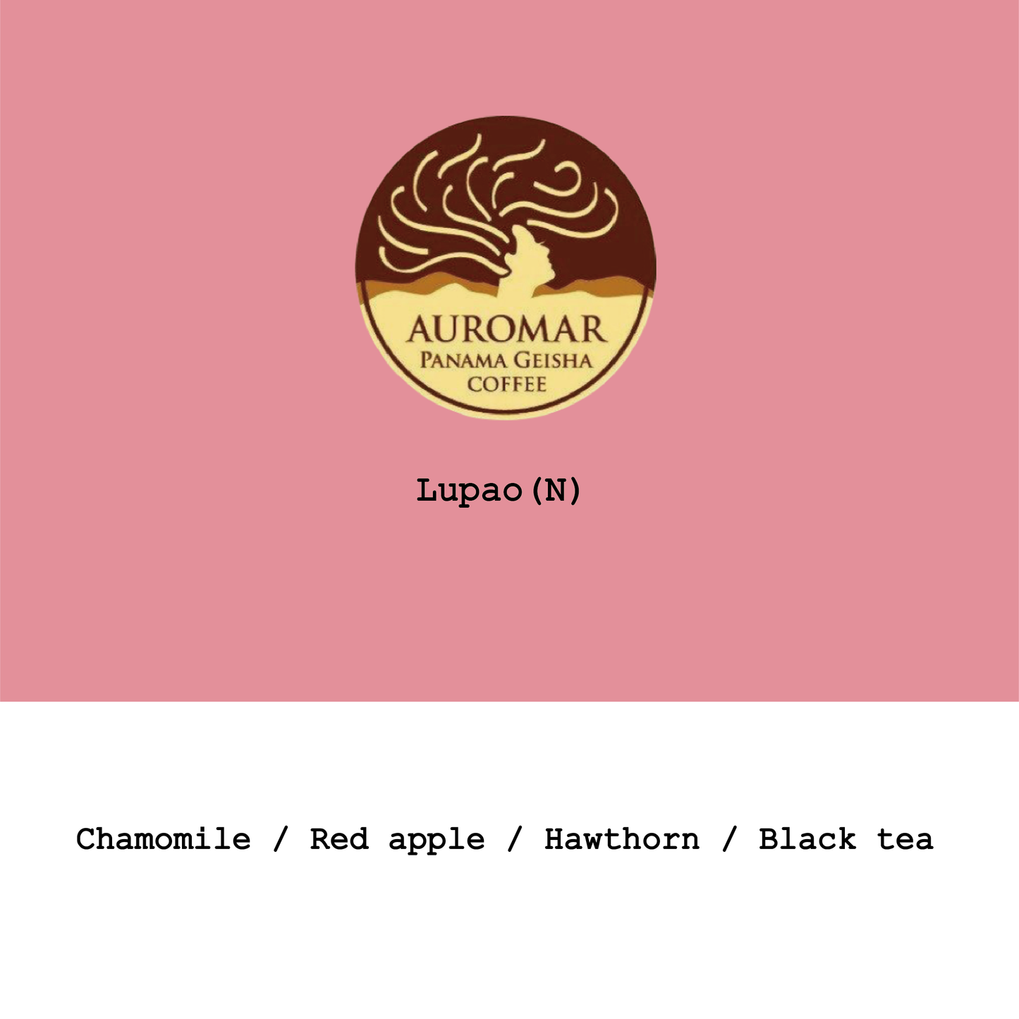 New Crop|Panama Finca Auromar Lupao Natural